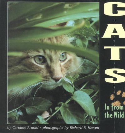 Cats : in from the wild / by Caroline Arnold ; photographs by Richard R. Hewett.