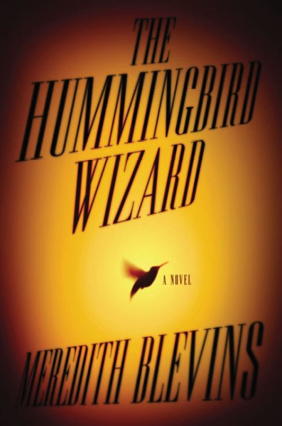 The hummingbird wizard / Meredith Blevins.