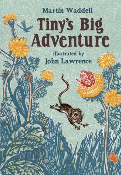 Tiny's big adventure / Martin Waddell ; illustrated by John Lawrence.