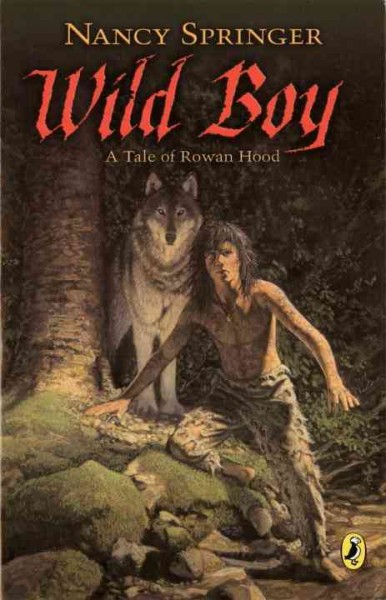 Wild Boy : A tale of Rowan Hood.