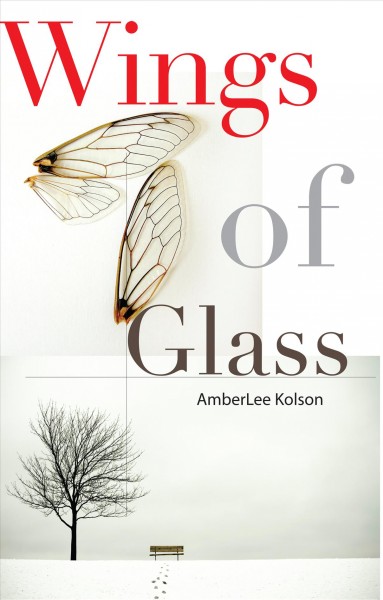 Wings of glass / AmberLee Kolson.