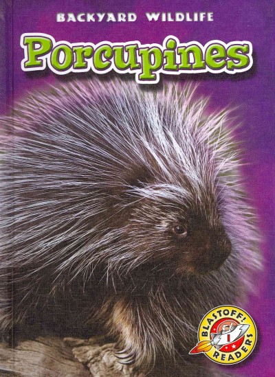 Porcupines / by Emily Green.