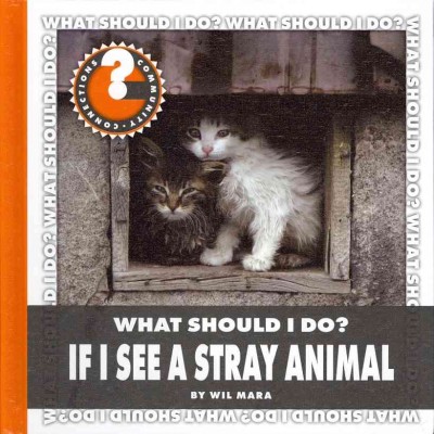 What should i do? : if i see a stray animal / by Wil Mara.