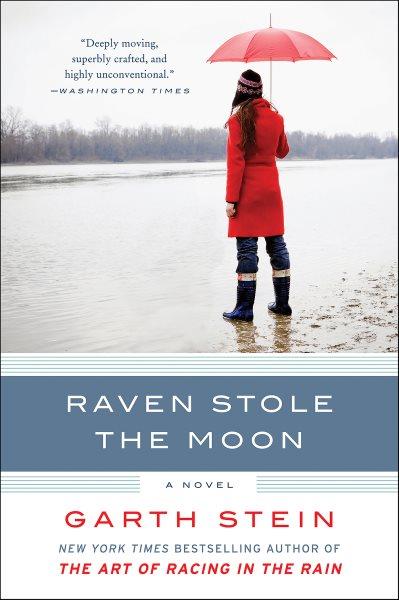 Raven stole the moon [electronic resource] : a novel / by Garth Stein.
