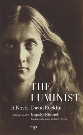 The luminist [electronic resource] : a novel / David Rocklin.