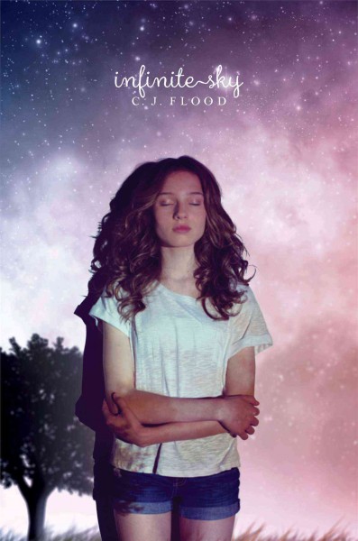 Infinite sky / a novel by C.J. Flood.