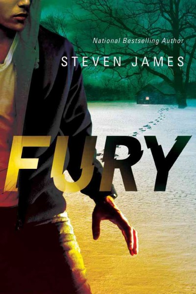 Fury / Steven James.