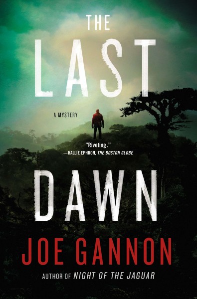 The last dawn / Joe Gannon.