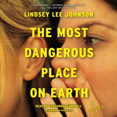 The most dangerous place on earth / Lindsey Lee Johnson.