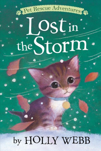Lost in the storm / by Holly Webb ; illustrated by Sophy Williams.