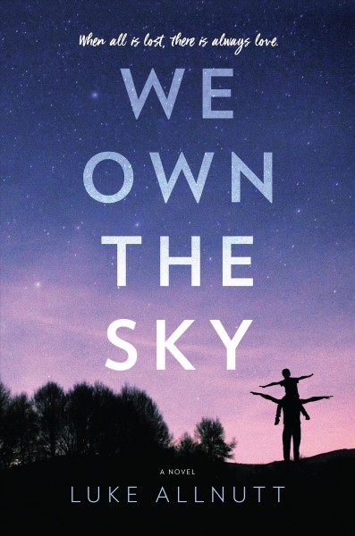 We own the sky : a novel / Luke Allnutt.