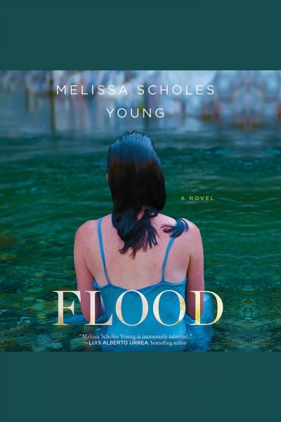 Flood : a novel / Melissa Scholes Young.