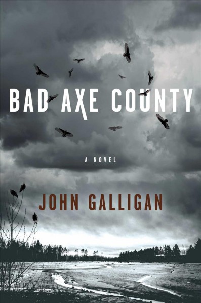 Bad Axe County : a novel / John Galligan.