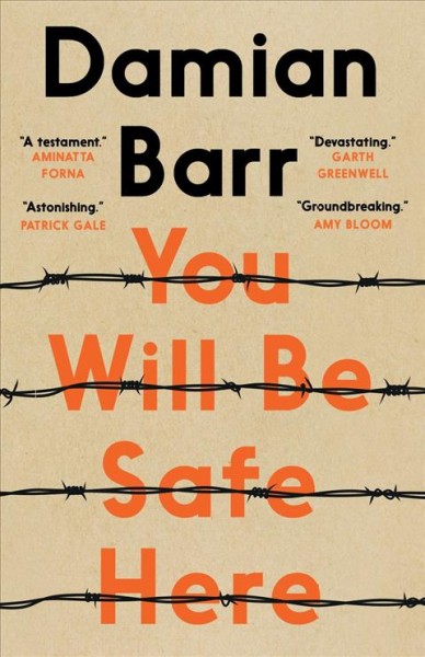 You will be safe here / Damian Barr.