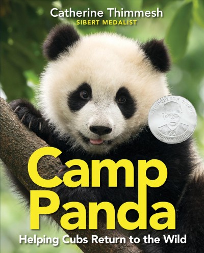 Camp Panda : helping cubs return to the wild / Catherine Thimmesh.