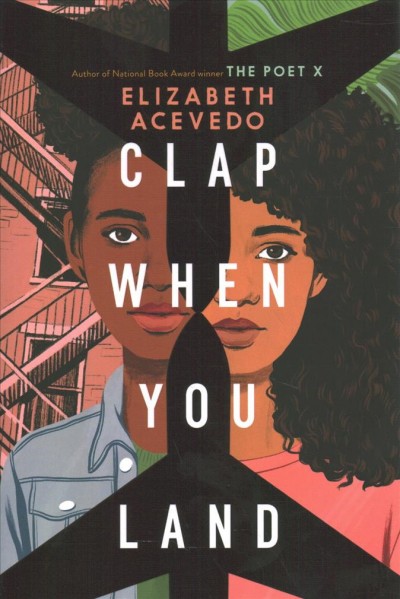 Clap when you land / Elizabeth Acevedo.