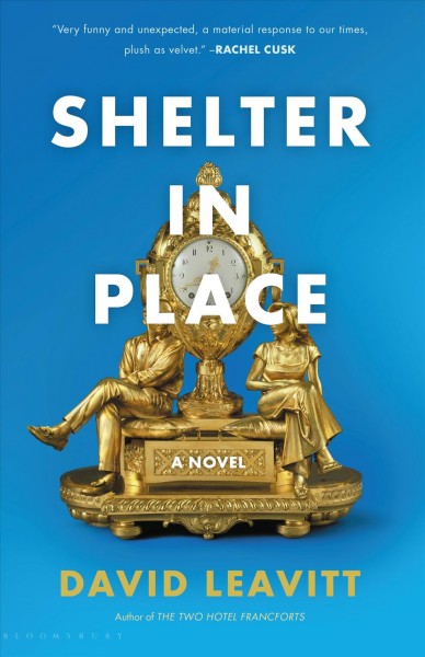 Shelter in place : a novel / David Leavitt.