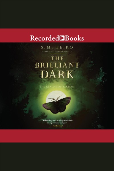 The brilliant dark [electronic resource] : Realms of the ancient series, book 3. Beiko S.M.