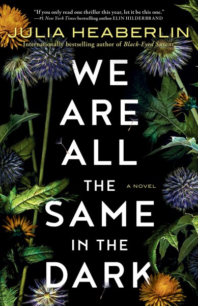 We are all the same in the dark : a novel / Julia Heaberlin.