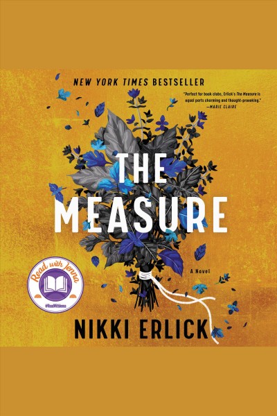 The measure : a novel [electronic resource] / Nikki Erlick.
