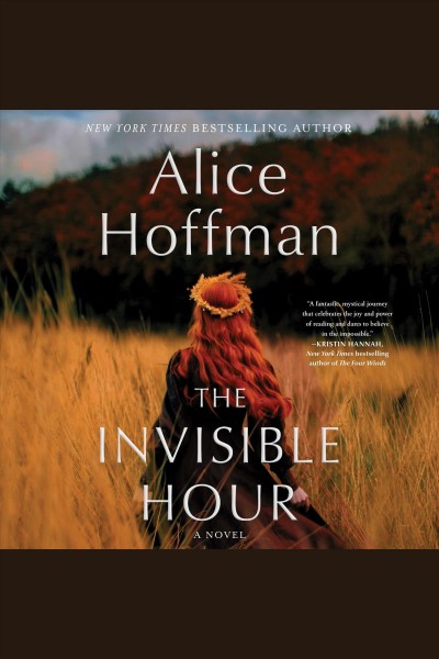 The invisible hour : a novel / Alice Hoffman.