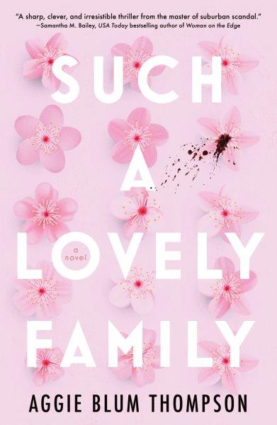Such a lovely family : a novel / Aggie Blum Thompson.