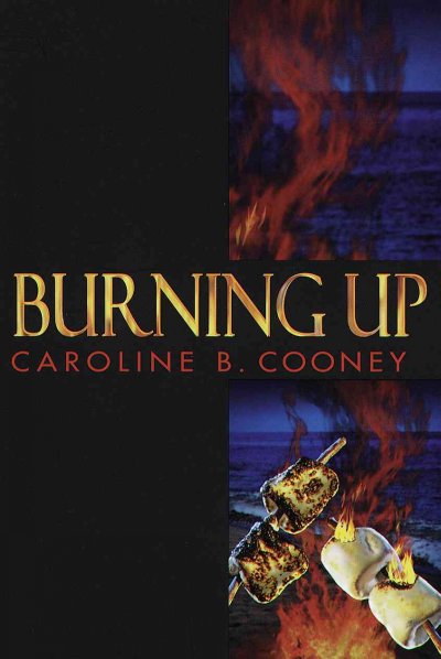Burning up [Paperback] : a novel.