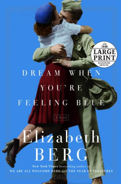 Dream when you're feeling blue / Elizabeth Berg.