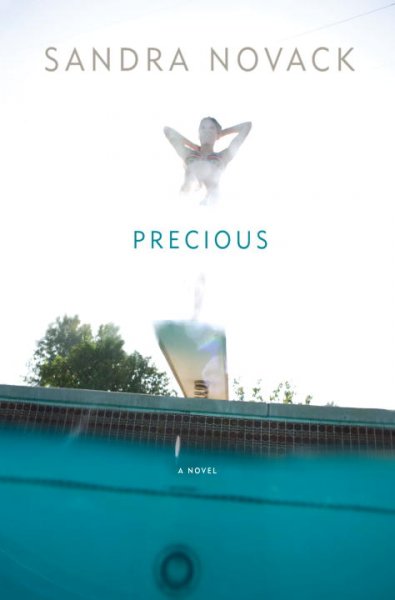 Precious : a novel / Sandra Novack.