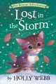Lost in the storm  Cover Image