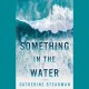 Something in the water : a novel  Cover Image