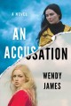 An accusation : a novel  Cover Image