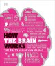 How the brain works : the facts visually explained. Cover Image